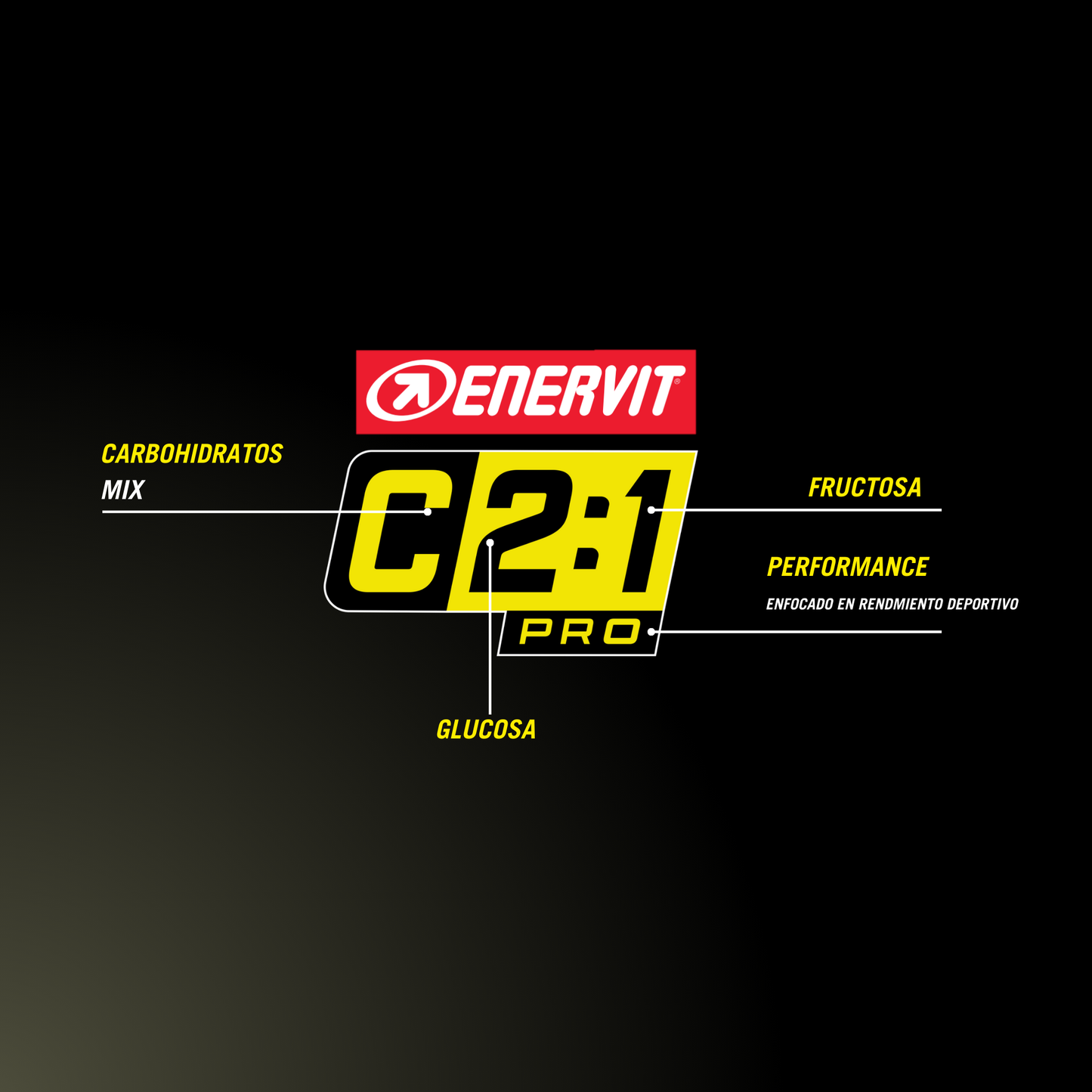CARBO GEL NA C2:1 PRO
